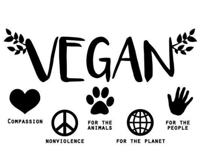 Beyond the Stereotypes: From Vegan Lifestyle to Ethical Beauty ✨