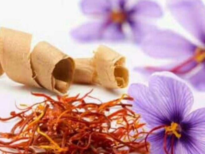 The Building Blocks of Healthy Skin