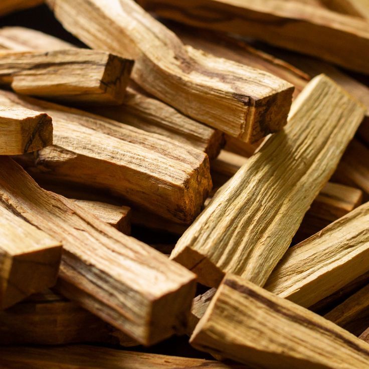Why Sandalwood is Your Skin’s Best Friend This Monsoon