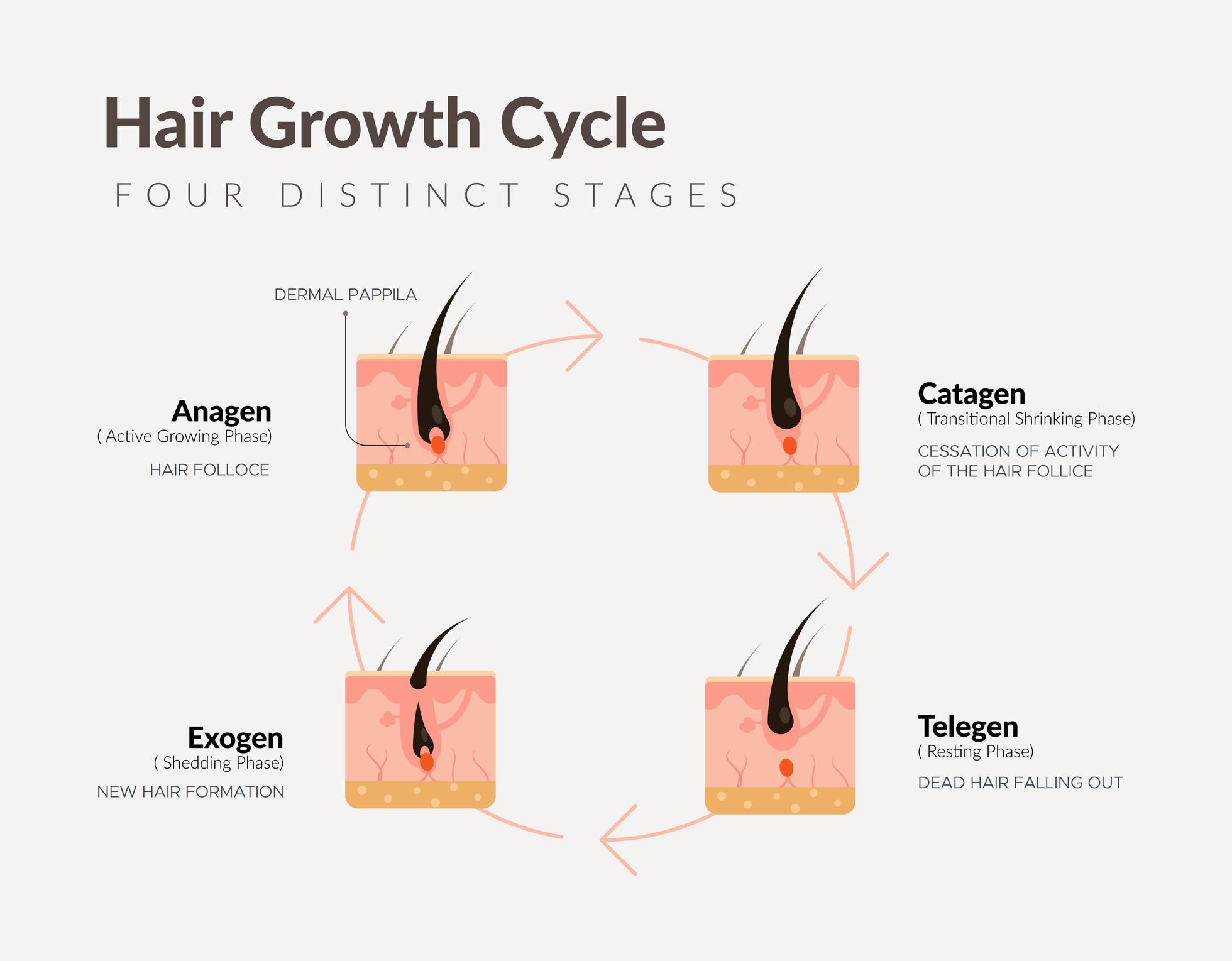 Understanding Alopecia Areata: Why Hair Falls Out in Patches